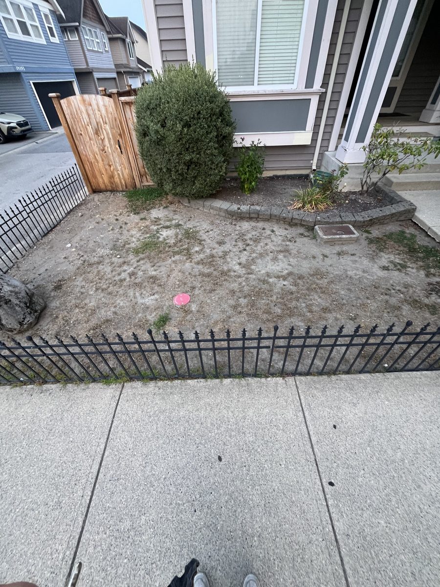 Bare dirt front yard with dead patches